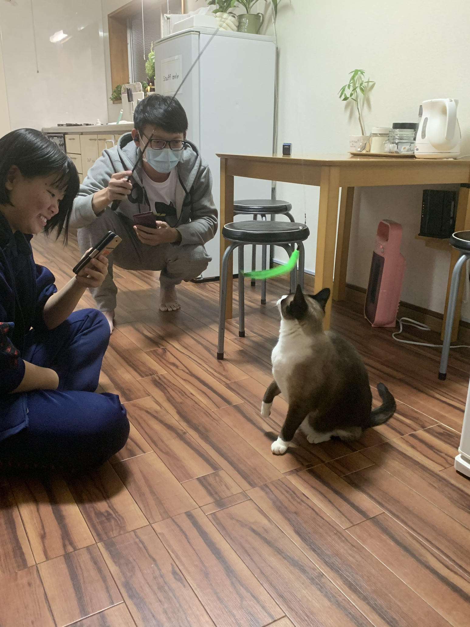 たま３