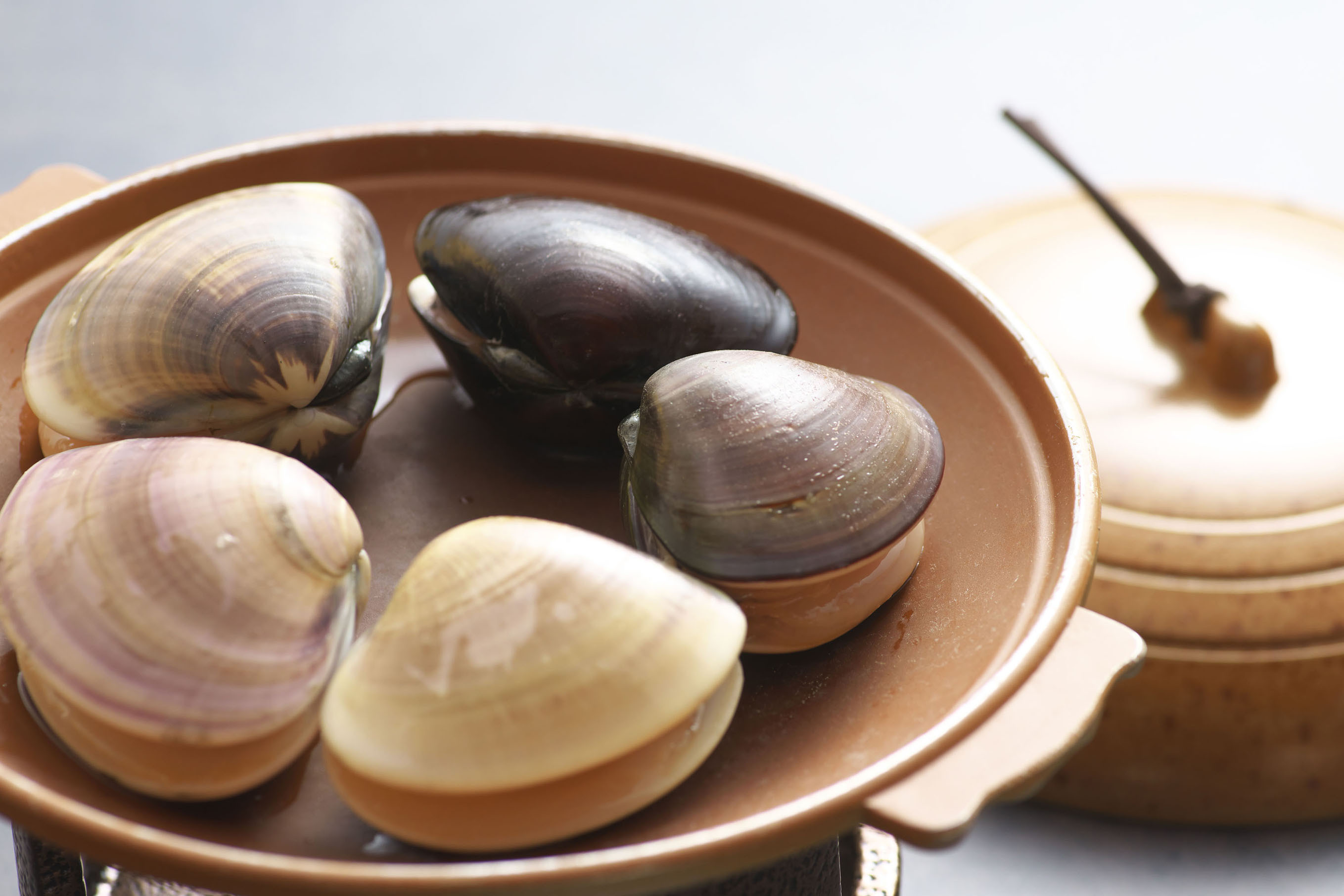 Nagomi no Yado Sasayu Image 4, Choshi, Japan