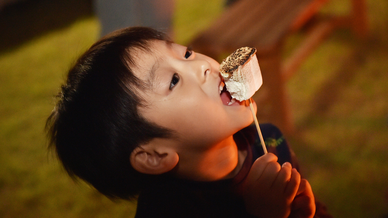 【キャンプファイヤー】みんな大好き焼きマシュマロはBBQ人気メニュー！