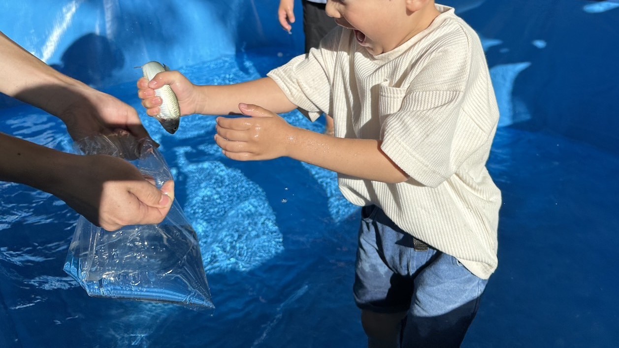 夏限定！鮎のつかみ取り体験