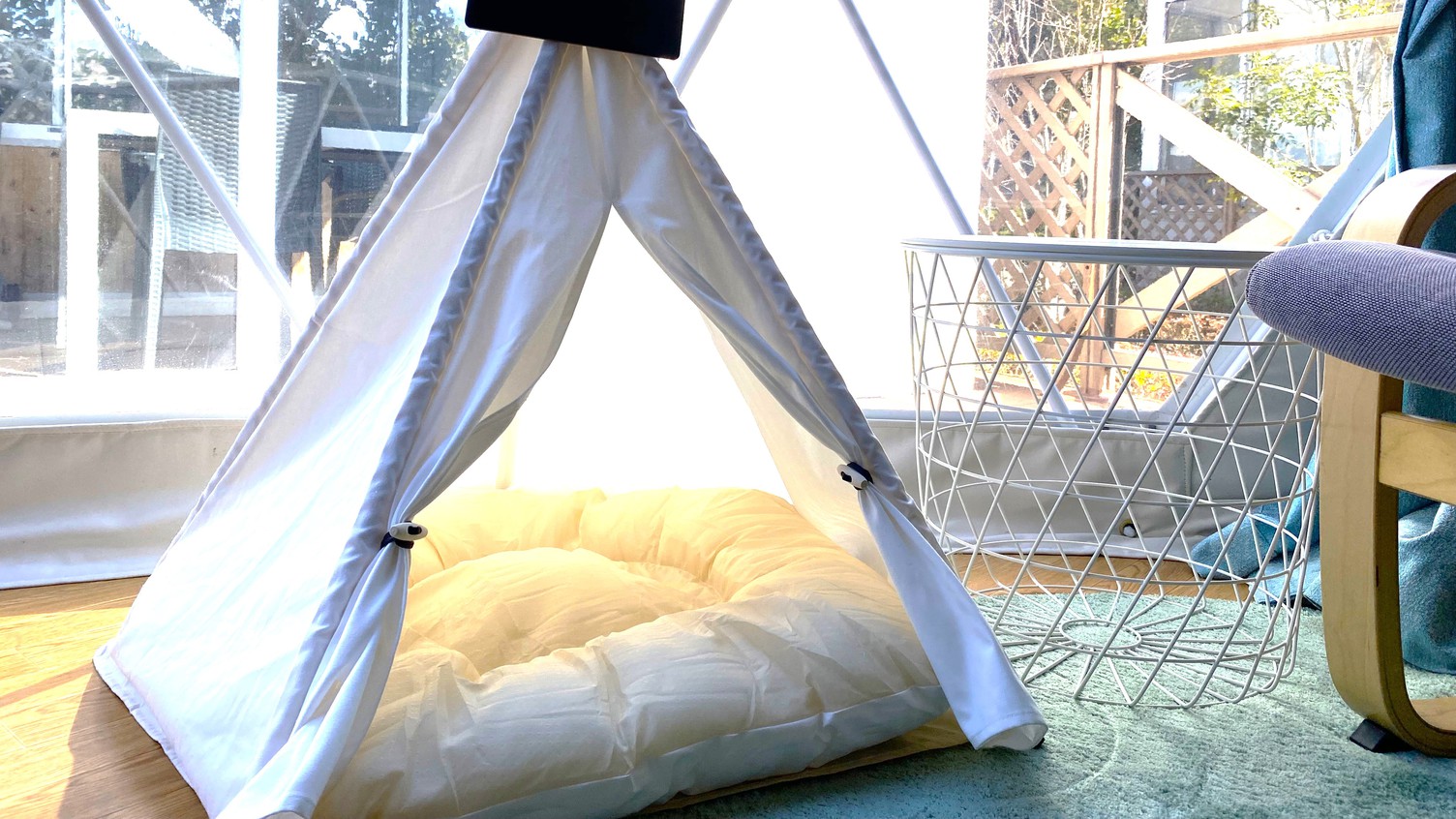 ペット用写真スポット