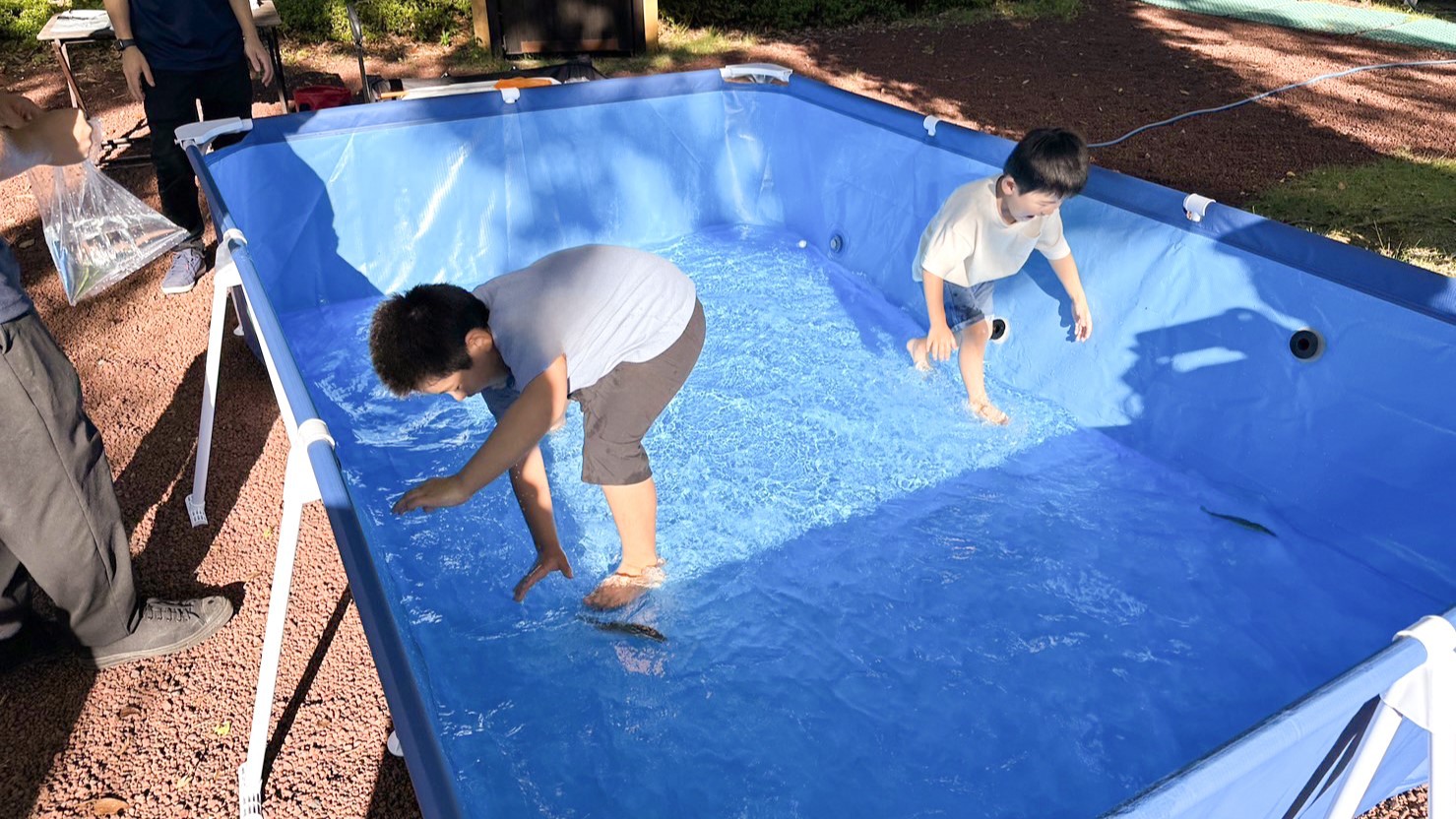 夏限定！鮎のつかみ取り体験
