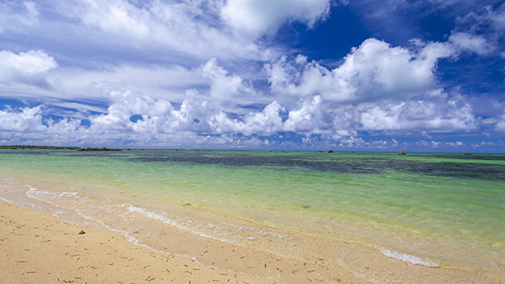 佐和田の浜（車で21分）