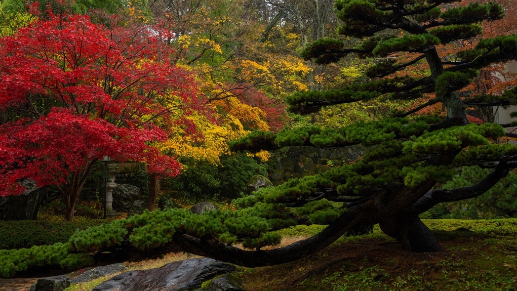 【庭園】紅葉した美しい日本庭園。四季で姿を変える景色にうっとり。