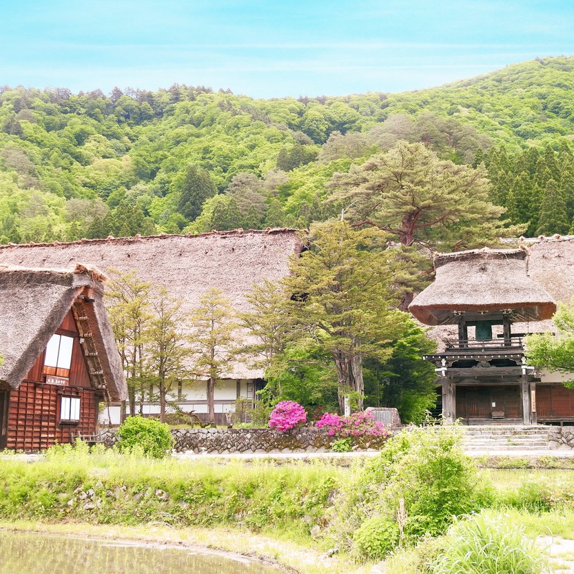 合掌集落