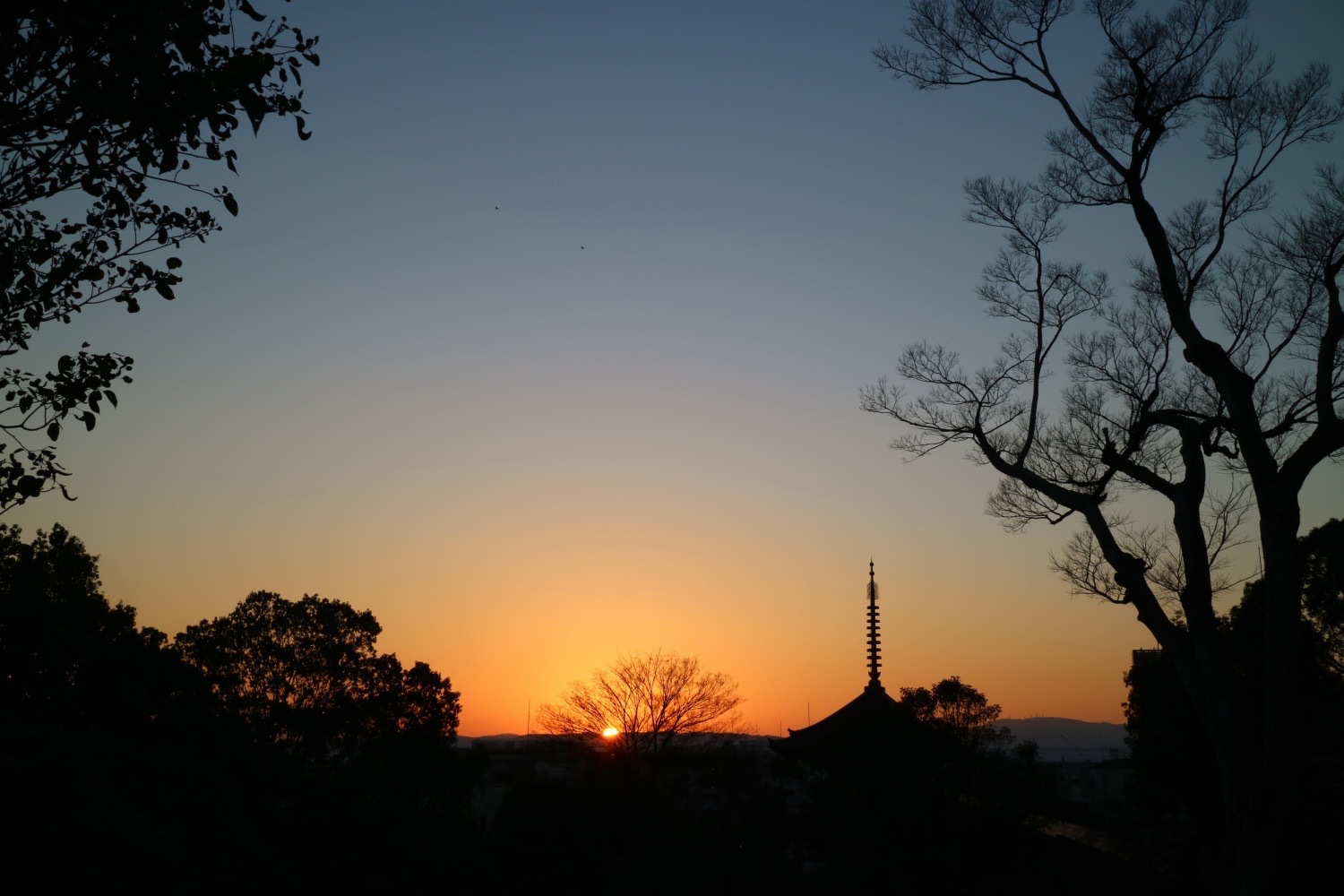 興福寺の夕方