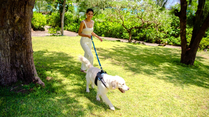 【愛犬と一緒に過ごす】カート道はすべてお散歩可能。愛犬と一緒にリゾート内を探索できます。