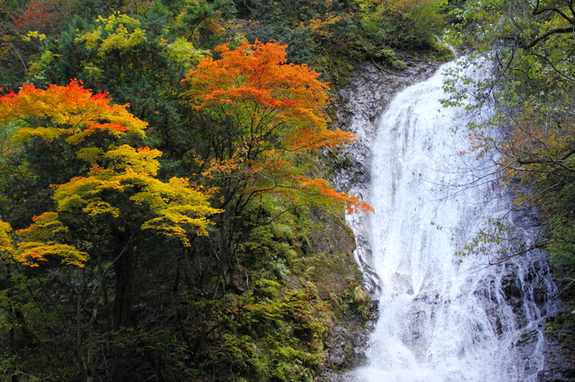 埼玉県唯一の日本の滝百選『丸神の滝』