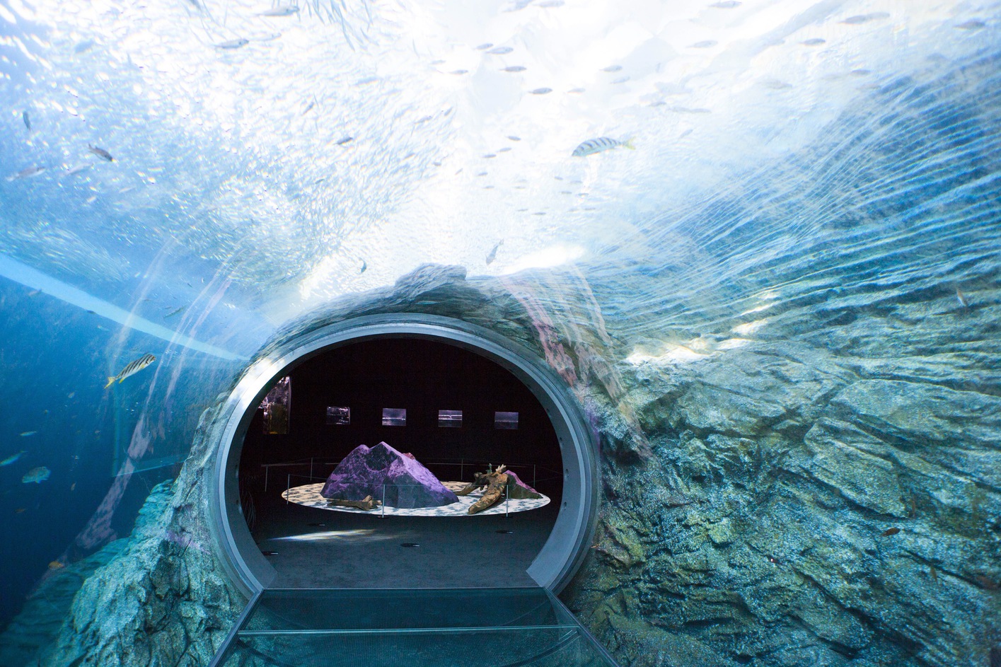 新水族館「うみがたり」（水中を散策しているかのようなうみがたりチューブ）