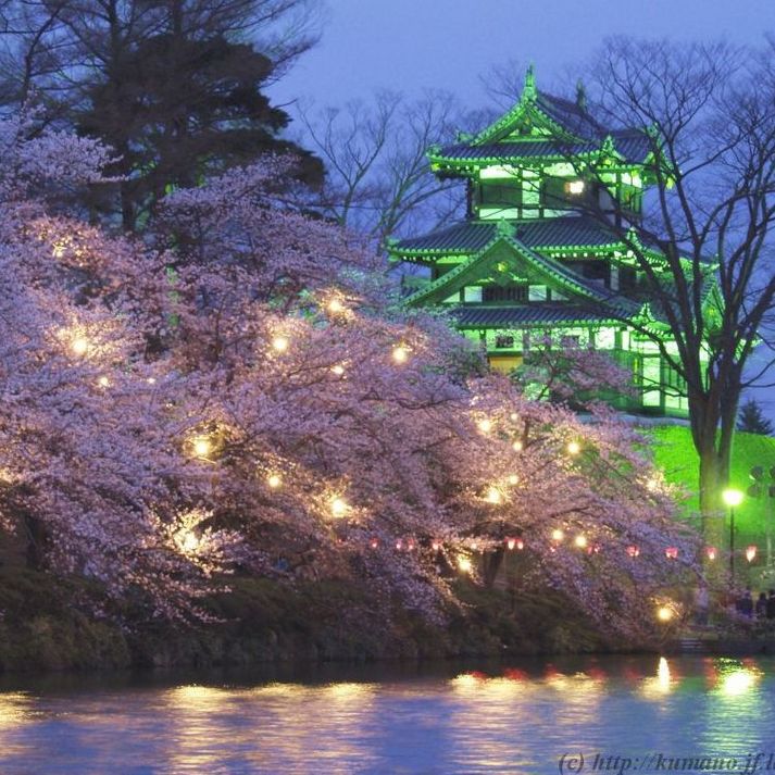 高田城観桜会