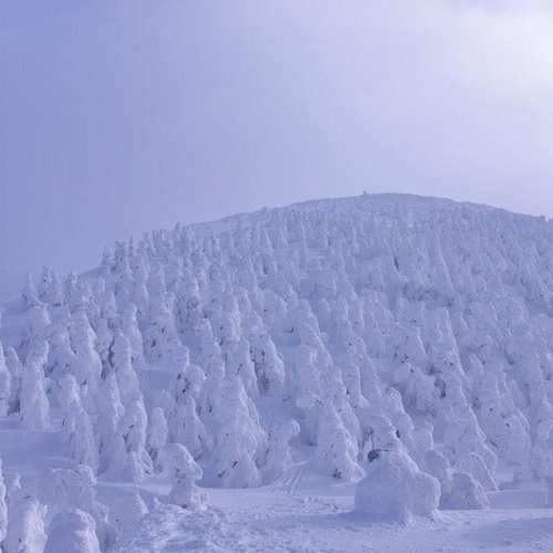 冬：蔵王山の樹氷（1月）02