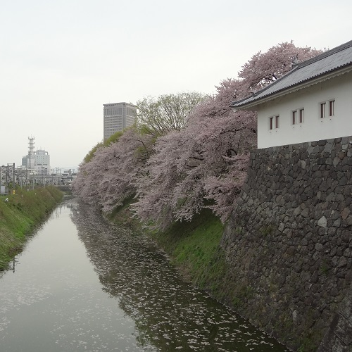 霞城公園06