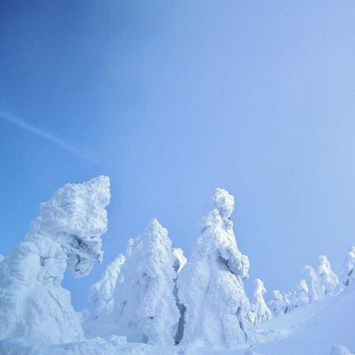 冬：蔵王山の樹氷（1月）03