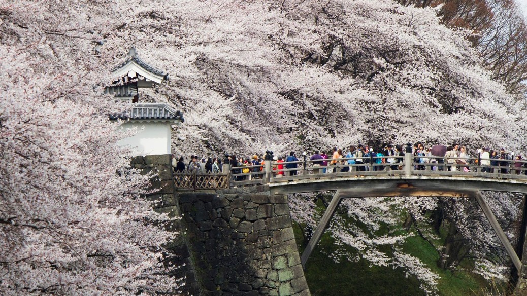 霞城公園