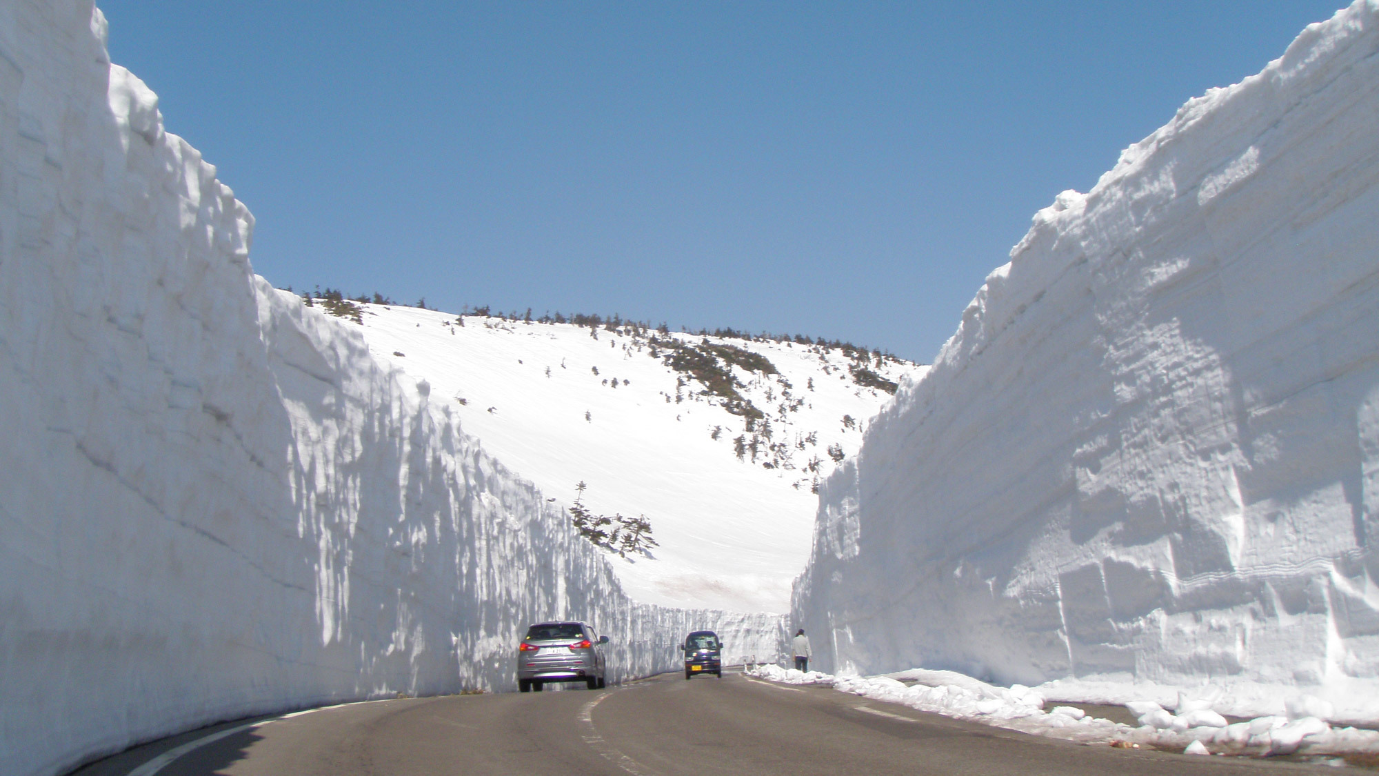 【雪の回廊】除雪によってその姿を現す雪の道！垂直に切り立った白銀の壁の眺めは壮観です。