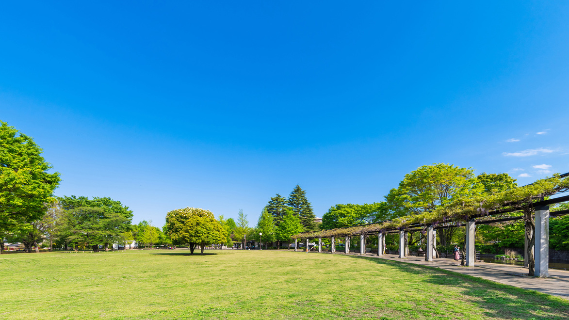 【観光】武蔵国分寺公園