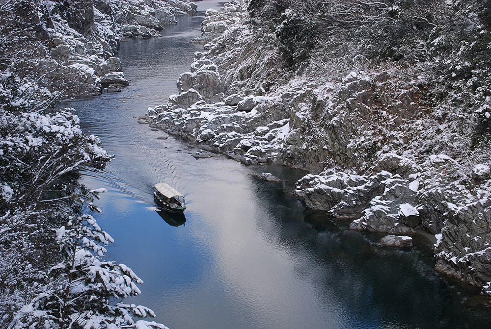 大歩危峡観光遊覧 / Oboke Gorge Pleasure Cruise