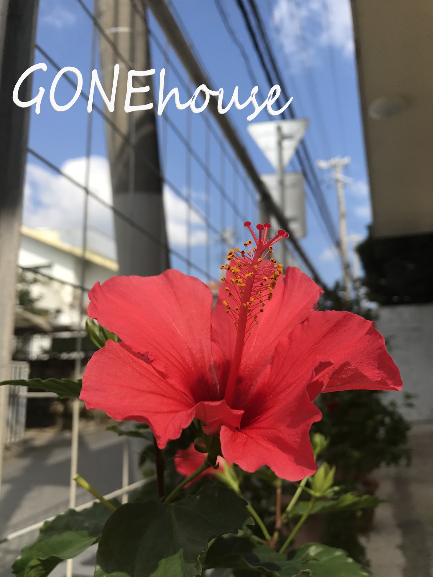 Gone House Main Image Gone House, Okinawa Main island