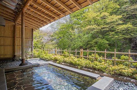 Bandaiatami Onsen Atamiso Main Image Bandaiatami Onsen Atamiso, Koriyama