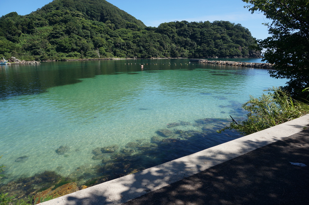 海沿いの散歩道