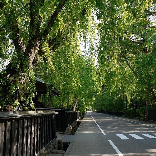 新緑武家屋敷