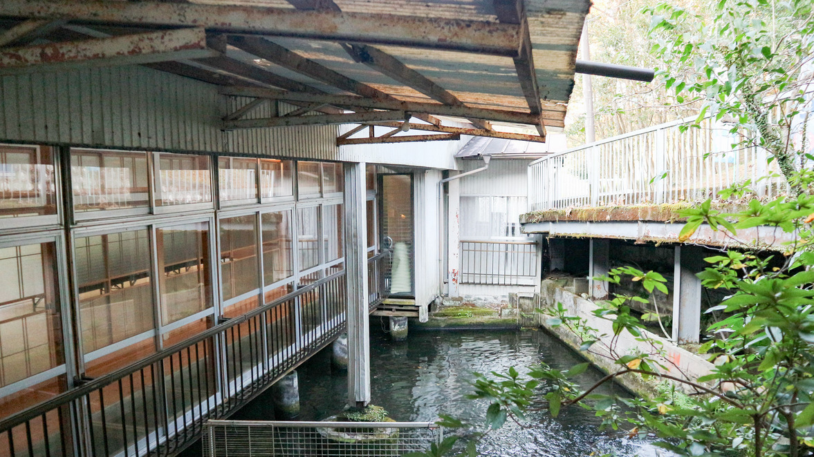 *【庭園】館内をぐるりと囲むように鯉が池で泳いでいます。圧巻ですよ！