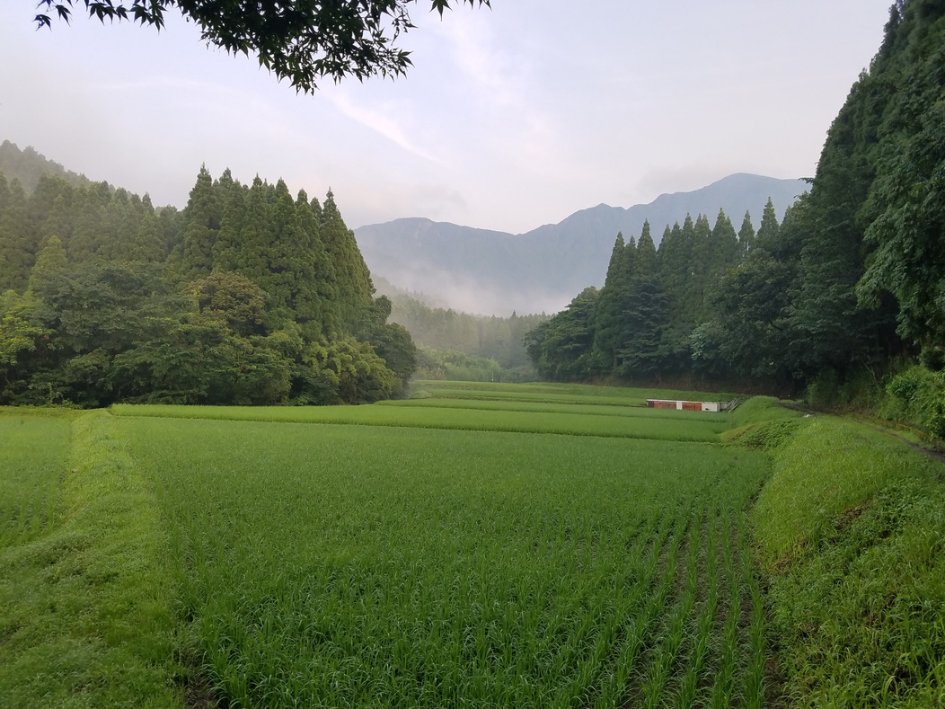 里山