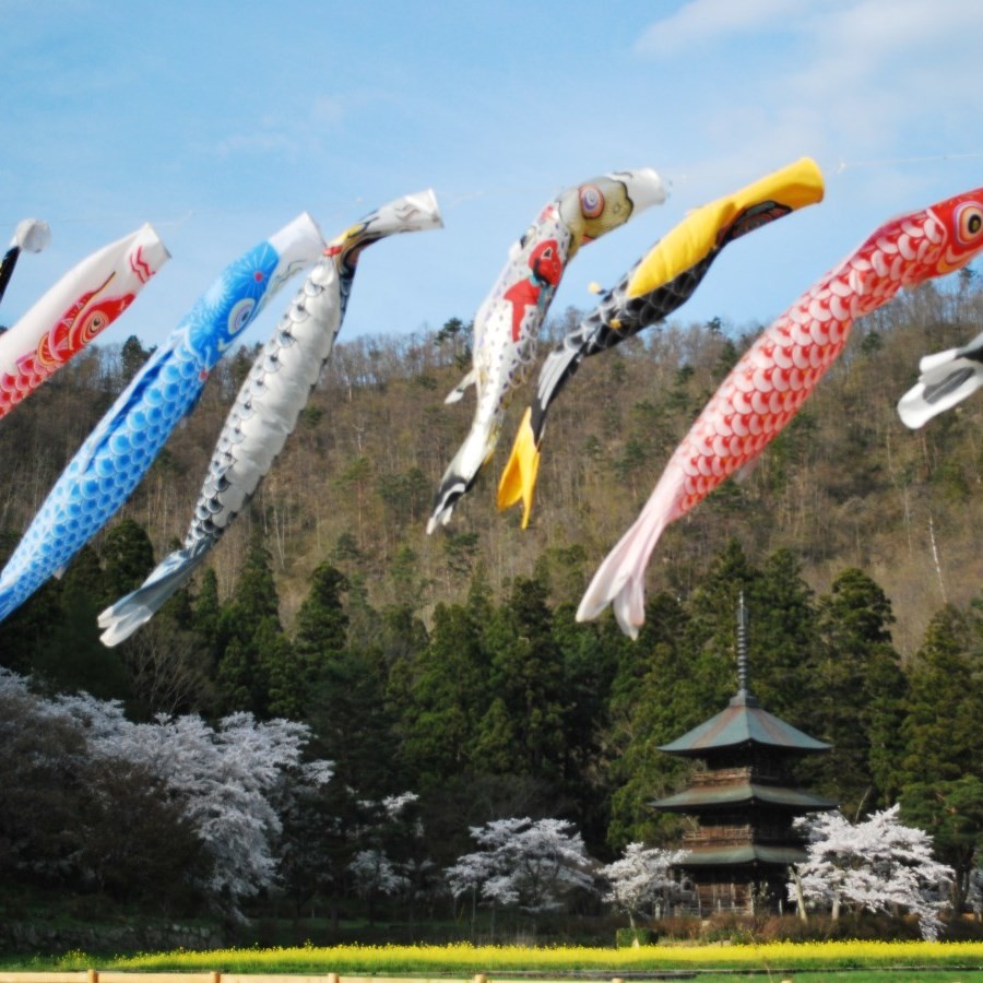 観光:安久津八幡神社と桜
