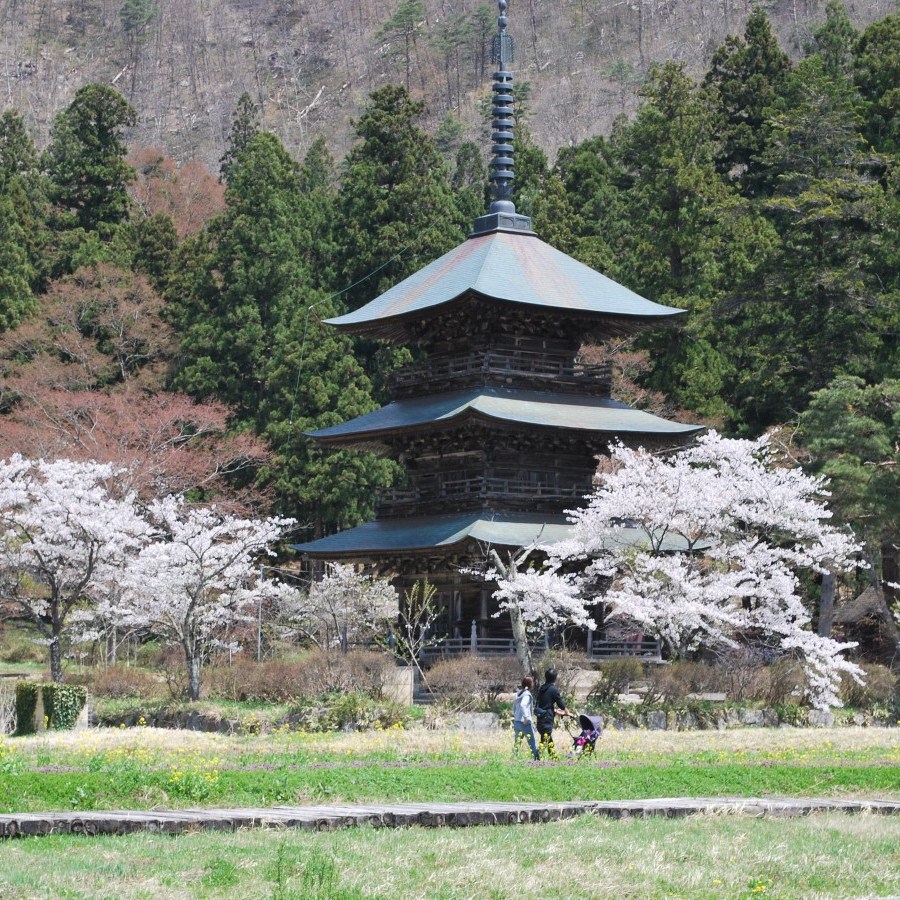 観光:安久津八幡神社と桜