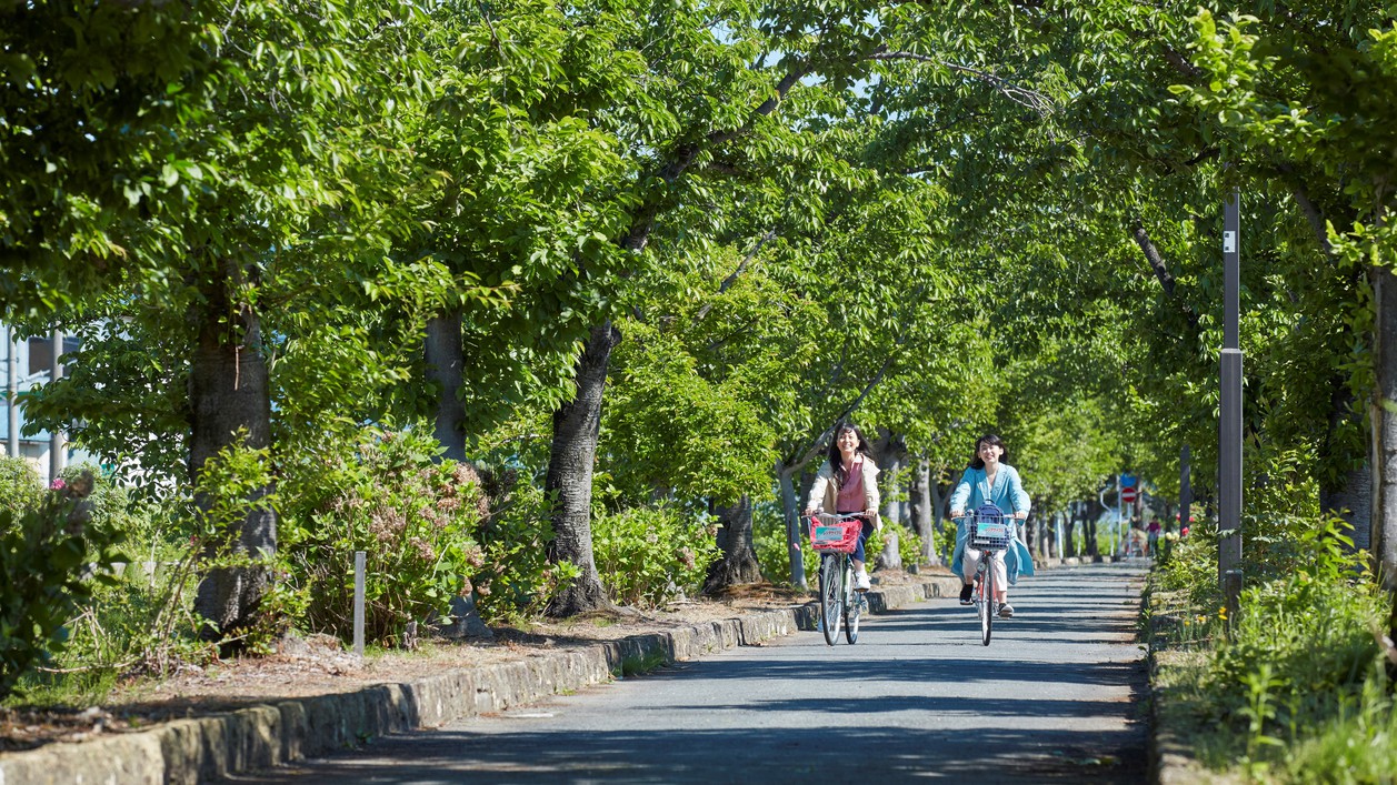 まほろばの緑道まほろばの緑道(約6km):散策やサイクリングに最適です!レンタサイクル(有料