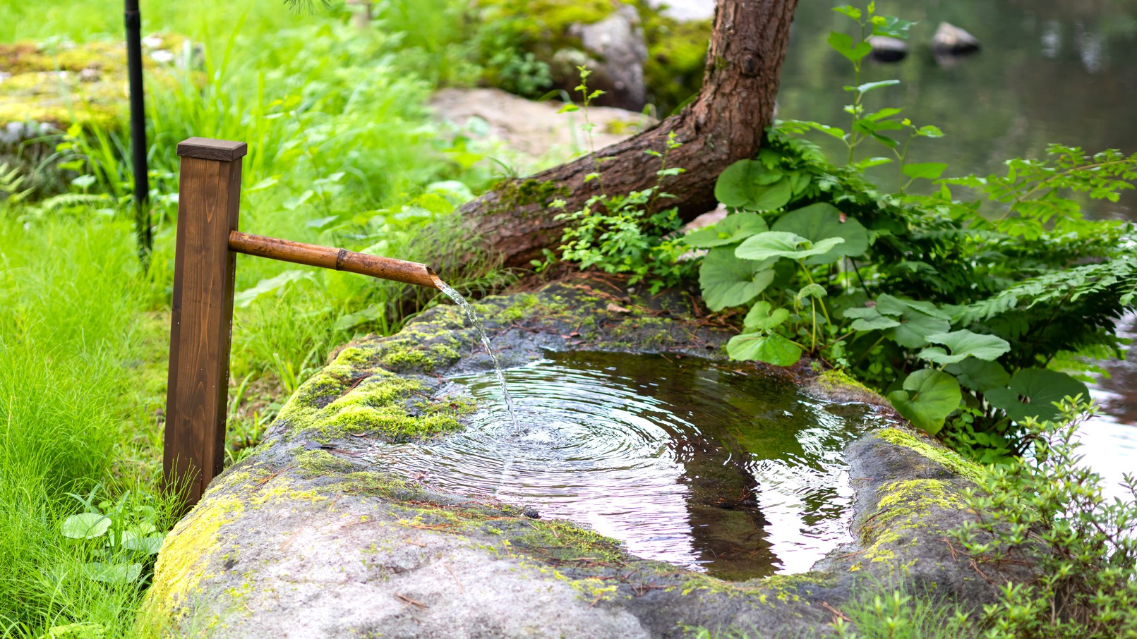 【禁煙】《仙岳荘》庭園眺望