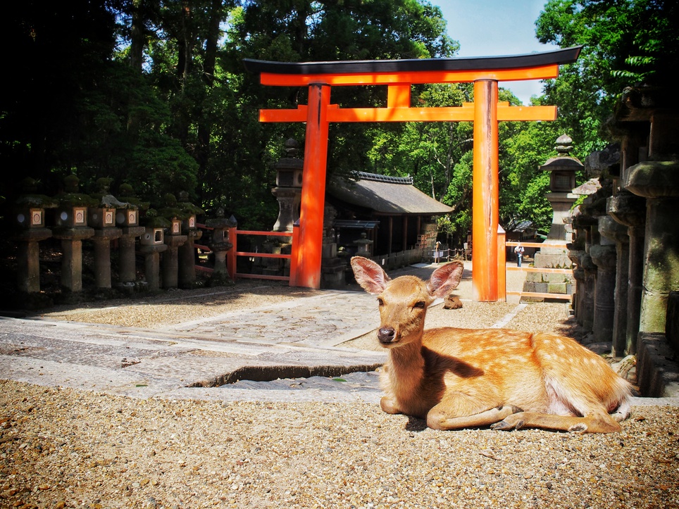 奈良の風景