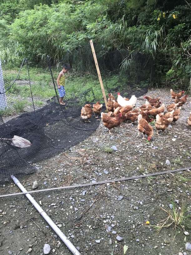 This photo about Kominka House Yumeiro <Amamioshima> shared on HyHotel.com