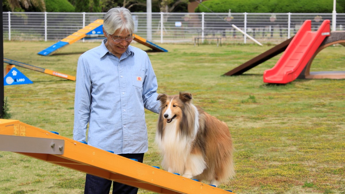 【ドッグラン】初心犬にはハードルが高いかもしれませんが、成功すれば盛り上がること間違いなし！