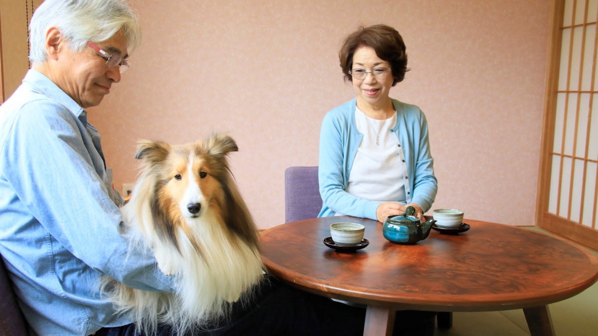 【ペット可・デラックスルーム一例】ご主人様のお膝でわんちゃんもリラックス♪
