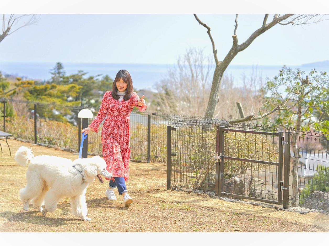 【屋外ドッグラン】オーシャンビューのドッグラン