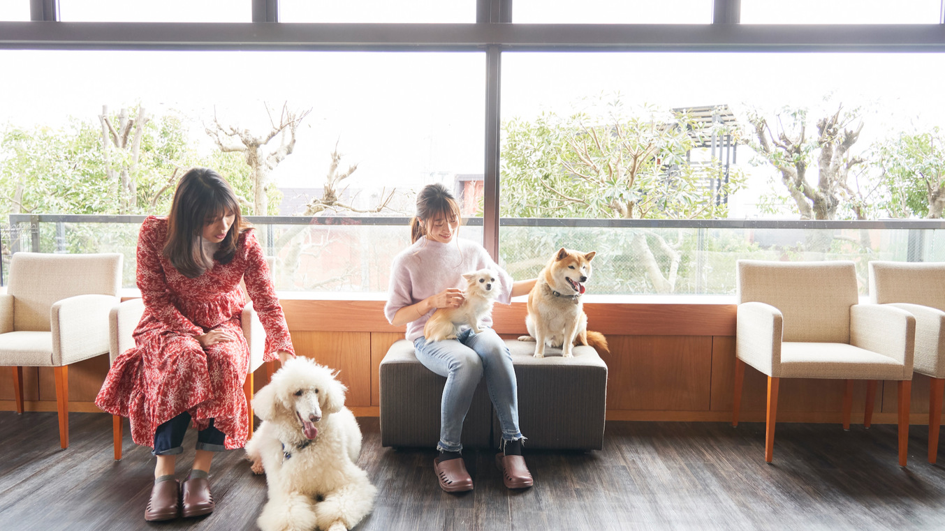 愛犬コミュニティー広場（屋内）