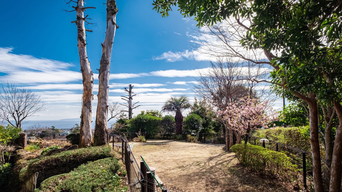 【屋外ドッグラン】