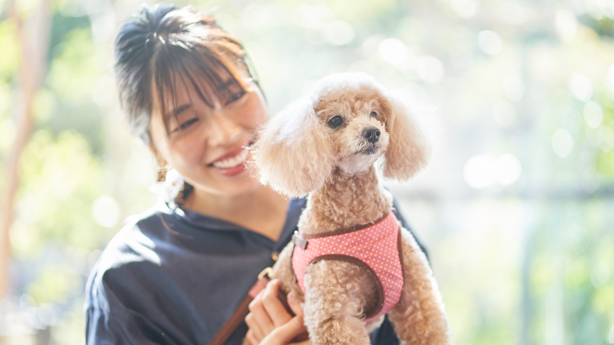 愛犬と思い出に残る時間を過ごせます