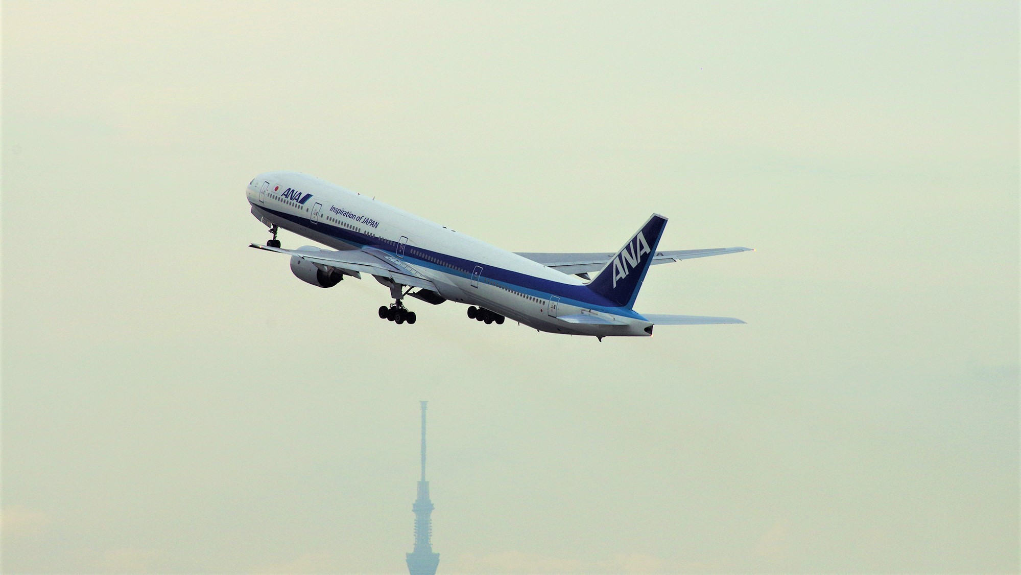 飛行機とスカイツリー