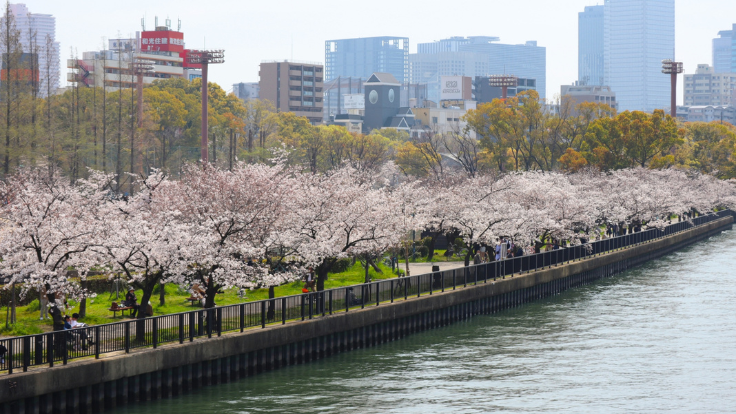 毛馬桜之宮公園