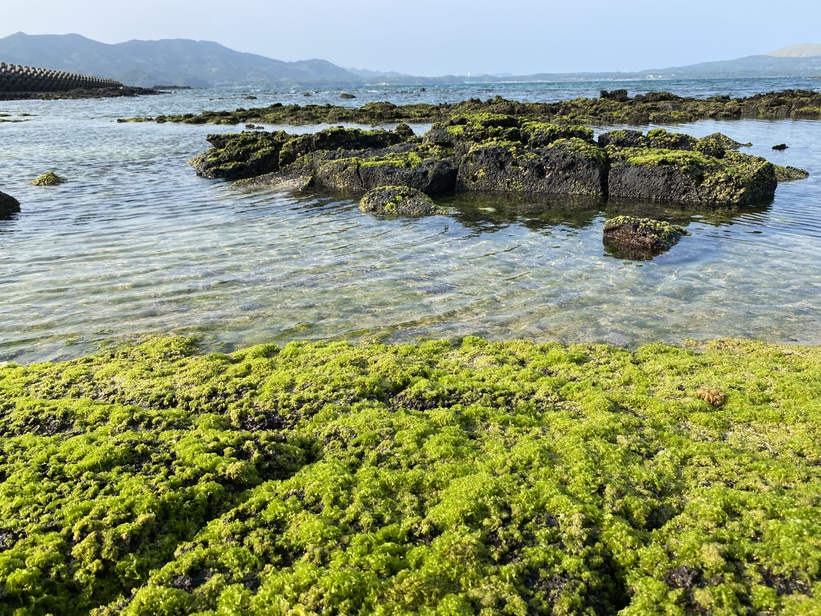 手つかずの自然が豊富な五島列島福江島