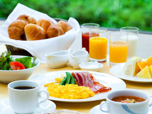 Echigoyuzawa Onsen Garden Tower Hotel YRAX Resort Image 4, Yuzawa, Japan