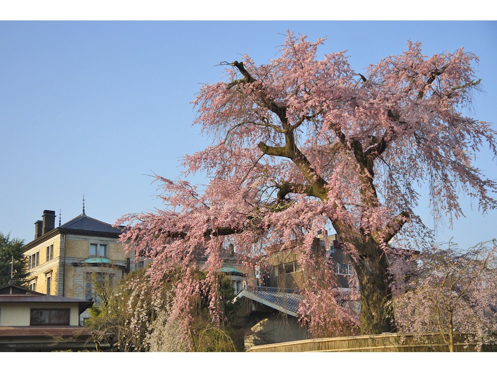 観光円山公園