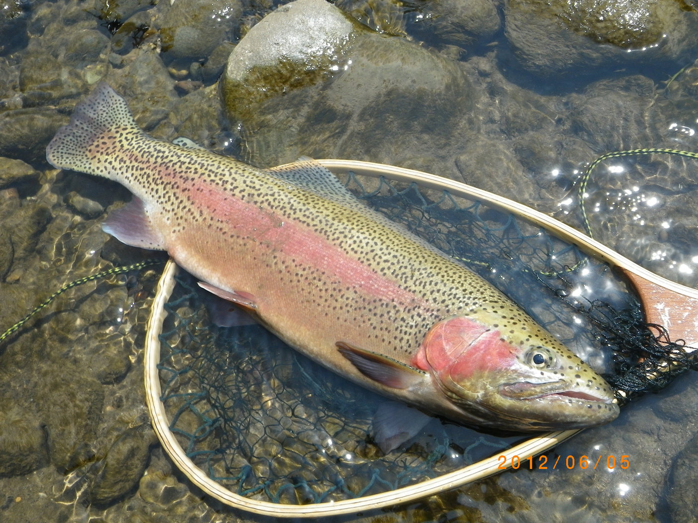 This photo about Shiretoko Fishing Guide & Cottage Neko no Shippo shared on HyHotel.com