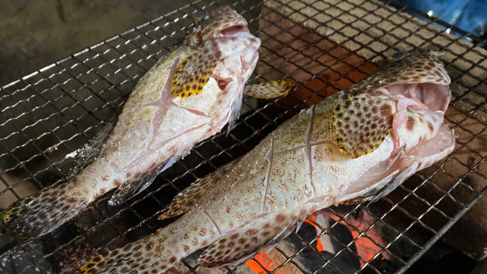 ・【BBQセット】釣りたての魚はまた別格においしい！