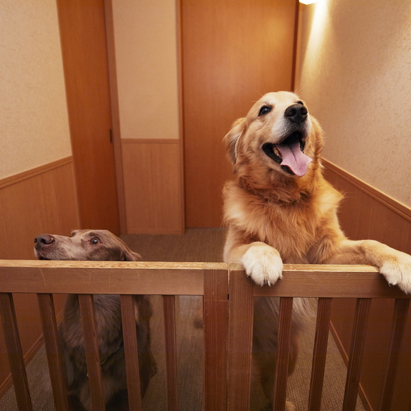 お部屋の入口には飛び出し防止ゲートをご用意