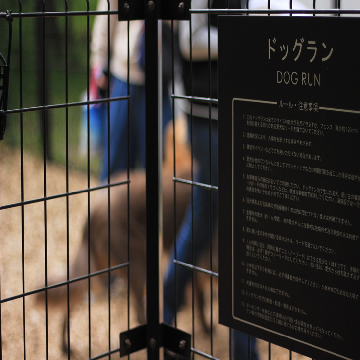 ドッグスパのついたドッグランを併設
