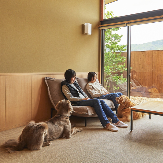 お部屋でゆったりとした箱根の時のながれを感じて