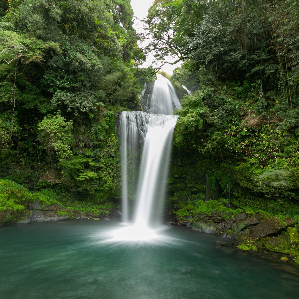 Onsen Hotel Lingo Image 5, Hita, Japan
